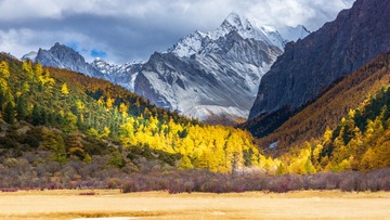 _DSC3515