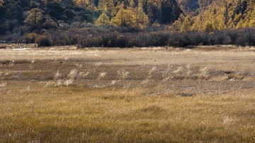 _DSC3768 拷贝