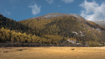 _DSC3785 拷贝