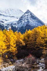 _DSC3674