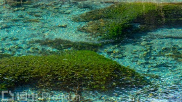 _DSC3765