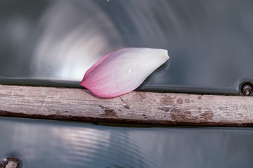 220650
