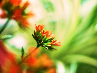 P1000188