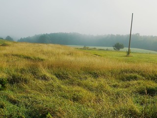 field