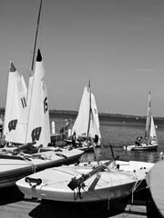 P1010644.JPG