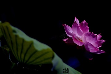001