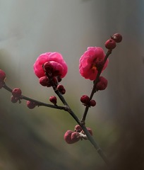 B71DB8C8-7141-4442-A8B4-DC8944279AE2/L0/001