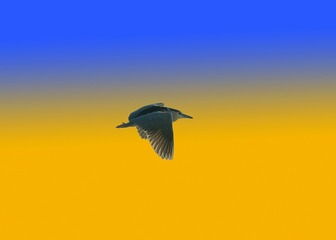 8FD89169-E83C-48EB-B192-2DD397845464/L0/001