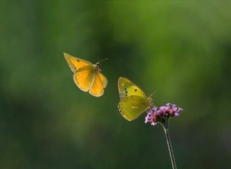 7935628E-65F1-4FA3-88DF-EBDCE860CBE6/L0/001