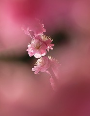61F59ABA-D3A7-4F5F-B326-43911F766838/L0/001