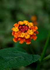 1171AA78-064D-4D08-8645-6F8B8C956118/L0/001