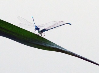 C7571AA8-1C37-44FF-94AE-364FD99D3BA0/L0/001