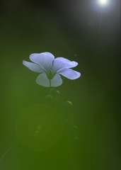 36B4F991-9C61-4443-8275-A298398C6A80/L0/001