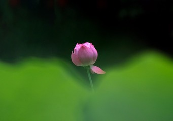 3A7C3BDD-6C70-409B-A10D-1893B7048C74/L0/001