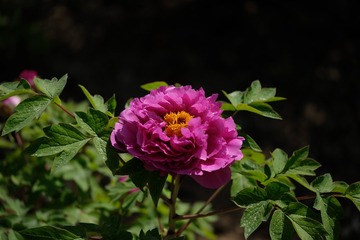8CCA868B-8C04-44E3-83FF-1C514AE8CB49/L0/001