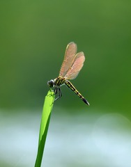 83909875-C1C2-4647-816C-B931E9D06A33/L0/001