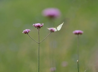 1D3E7240-9B67-4A5E-B144-5179FA8ACEE6/L0/001