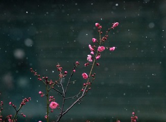 E6C687AB-1F02-43DD-9884-A9EF7F3E15C0/L0/001