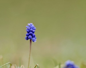 C395D282-5AB5-4F2C-916B-DCB43680C922/L0/001
