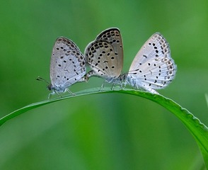 4BCD6B75-EB51-425E-BCAF-0C4E8FC9E981/L0/001