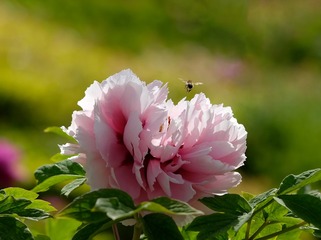 447C6914-488D-418B-AF58-BCBD24683E46/L0/001