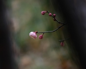 89823B34-B58D-4C28-88EF-6D0EF96FFC85/L0/001