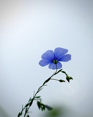 514A1464-669C-4876-9E06-18732E279FEA/L0/001