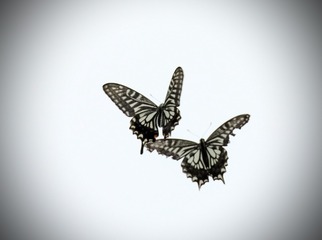 1D734F11-C45F-4CA4-B36B-93F76F589EDB/L0/001
