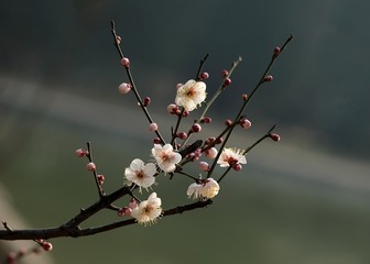 C64B327E-DF08-474E-8315-0E60367CF556/L0/001