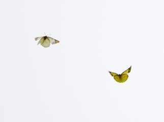 3B390B23-4672-453F-8E79-B8CA34CB2BE9/L0/001