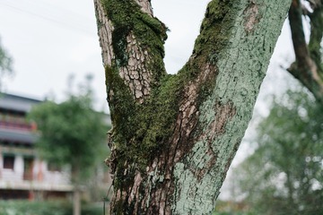 A7R05196_副本