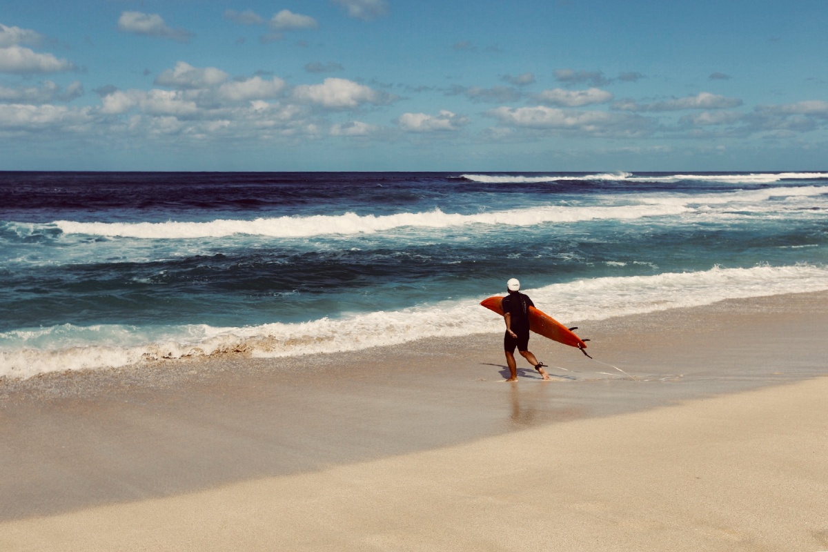 不惧风浪 驰风而行