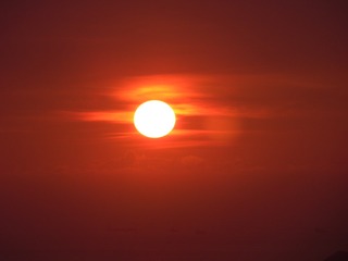 1206356