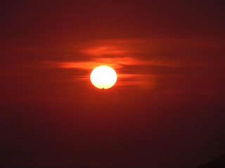1206355