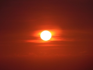 1206358