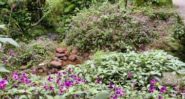 _IGP9433.jpg