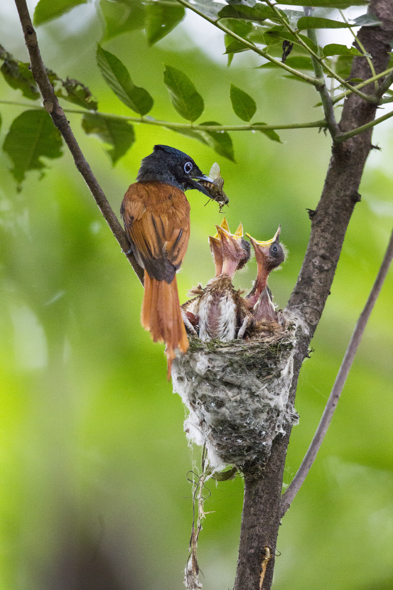 母爱- david513 - 图虫网 - 优质摄影师交流社区