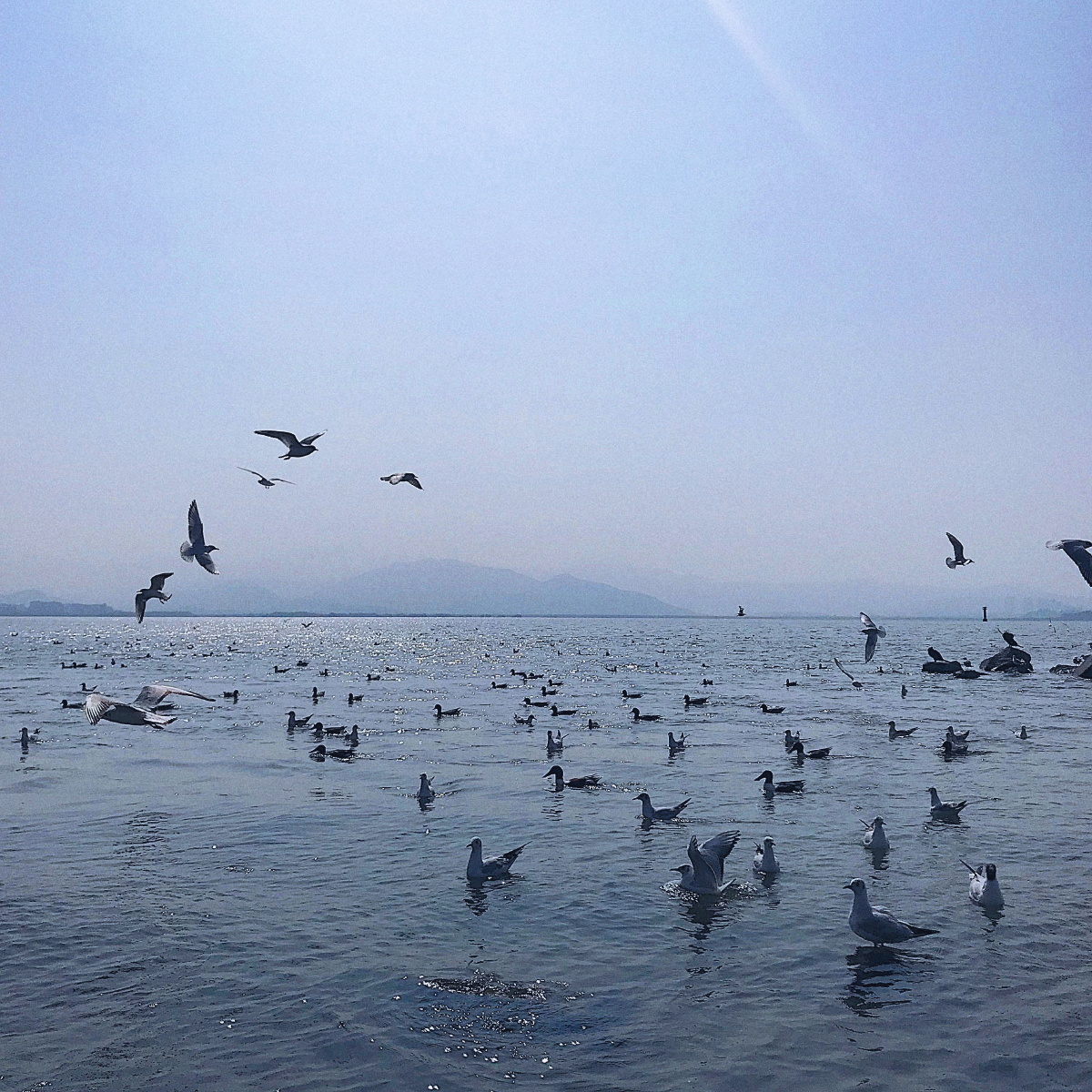 我的舍友很欠打2214