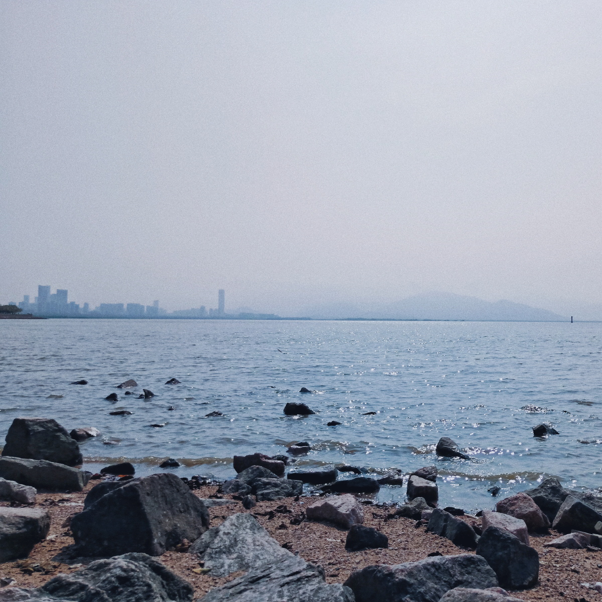 我的舍友很欠打2214