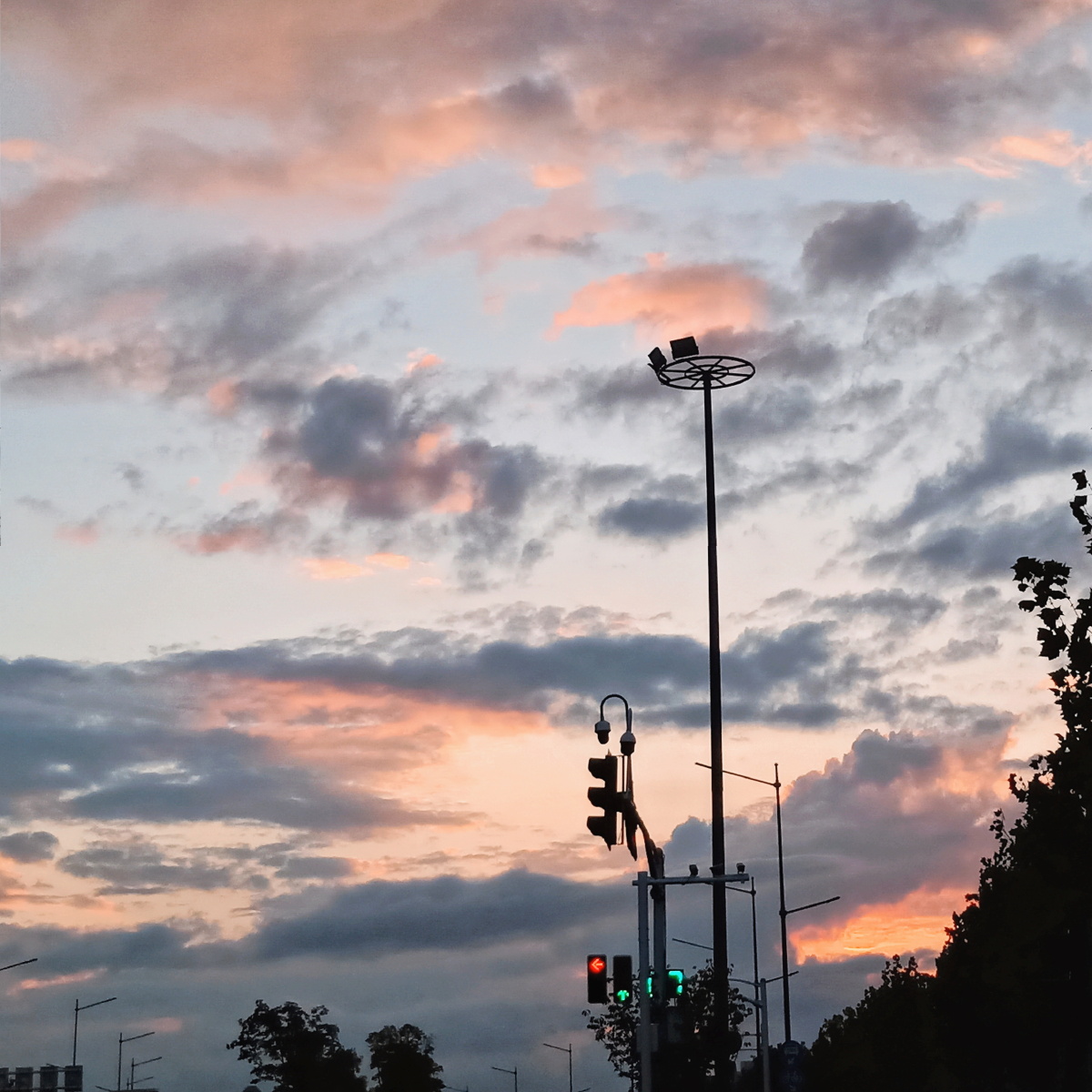 我的舍友很欠打2214