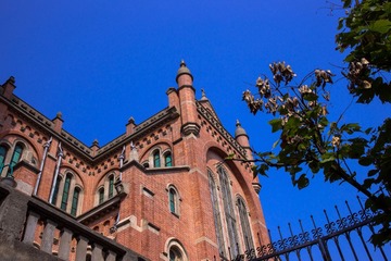 DSC00019.jpg