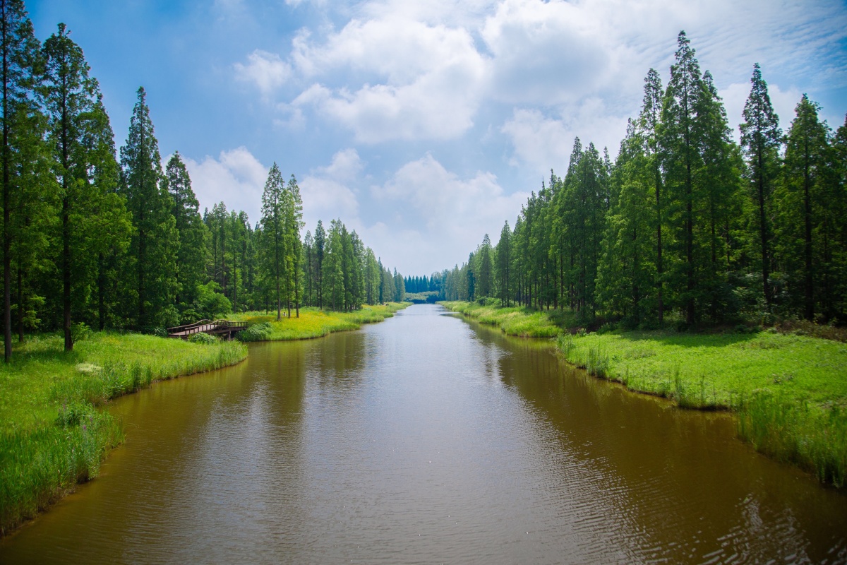 江苏东台黄海国家森林公园