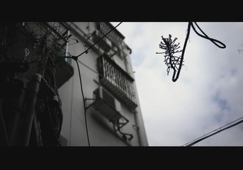 _DSC9175a