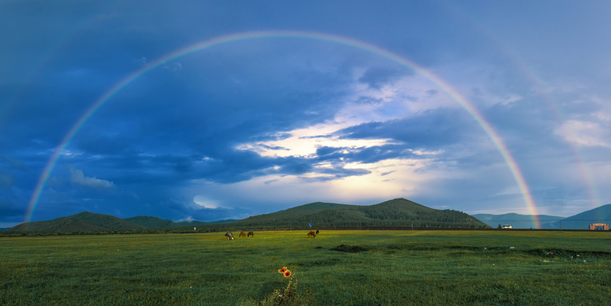 草原雨后彩虹