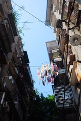 DSCF3913_
