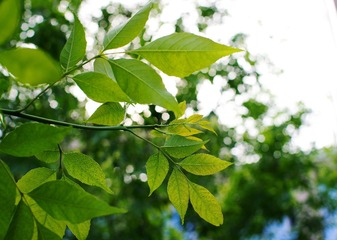 IMGP7660(1)p