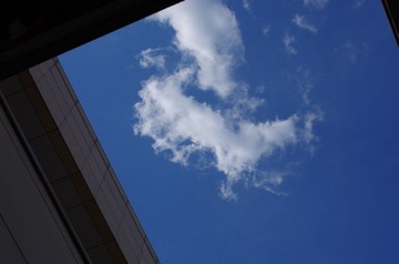 IMGP7677(1)