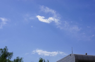 IMGP7665(1)p