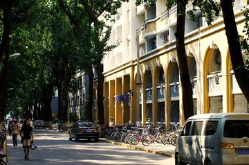IMGP1851p