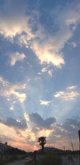 IMG_3692p